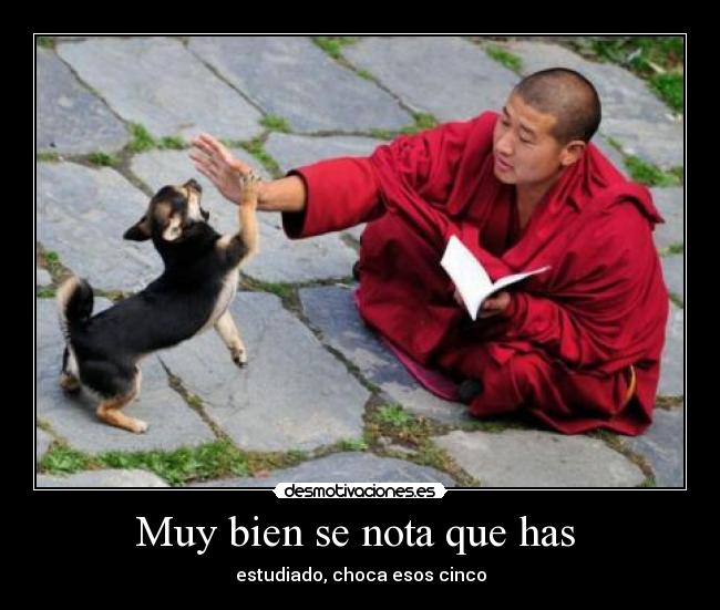 Muy bien se nota que has  - 