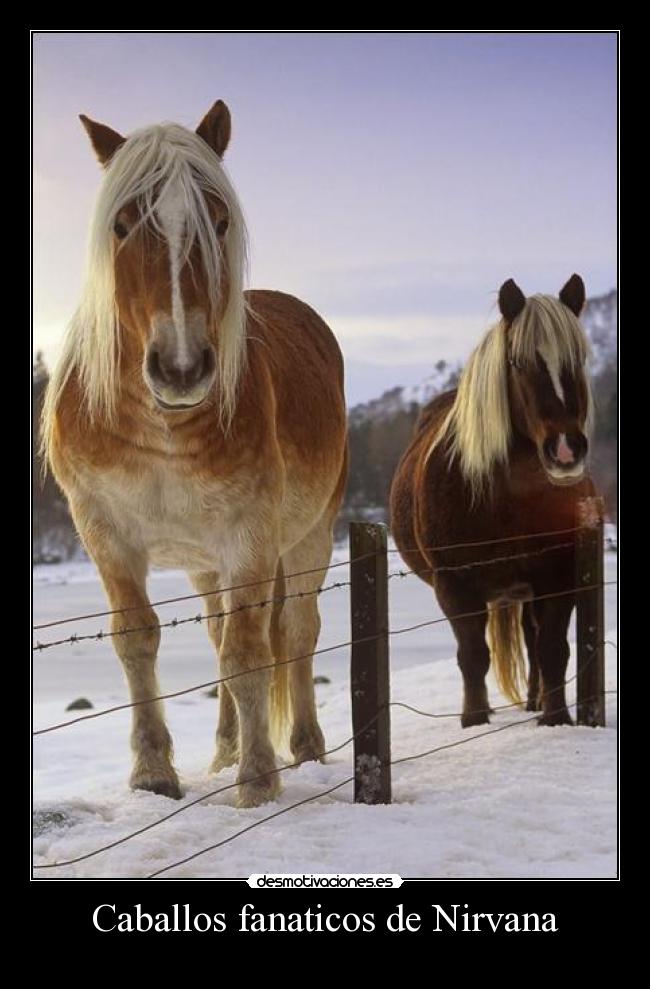 Caballos fanaticos de Nirvana -