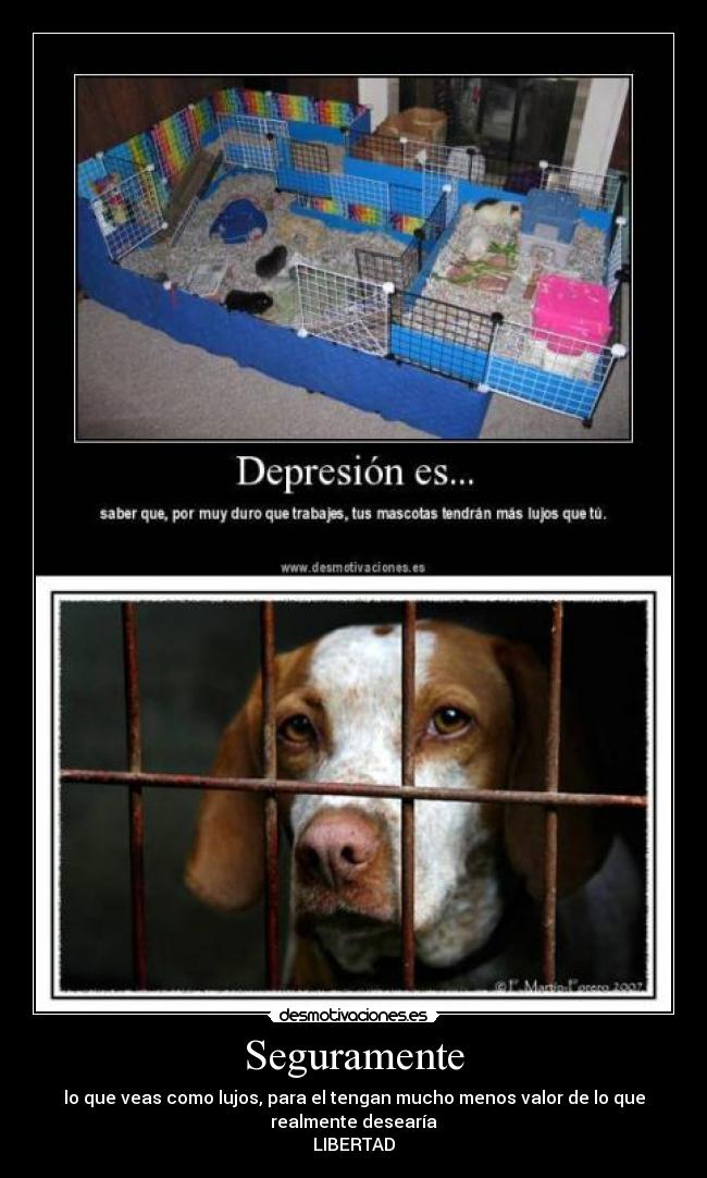 Seguramente - lo que veas como lujos, para el tengan mucho menos valor de lo que
realmente desearía
LIBERTAD