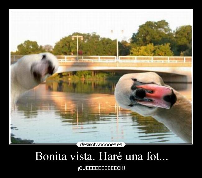 Bonita vista. Haré una fot... - 