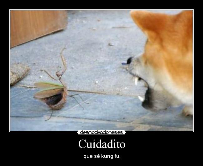 Cuidadito - que sé kung fu.