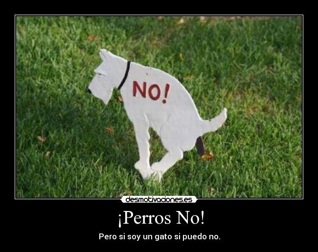 ¡Perros No! - Pero si soy un gato si puedo no.