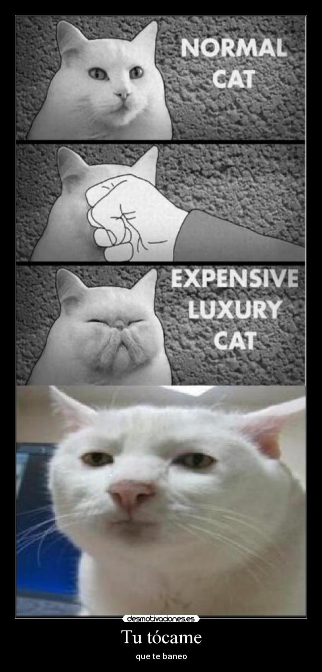 Tu tócame - que te baneo