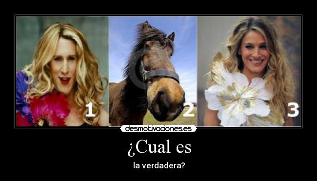 ¿Cual es - 