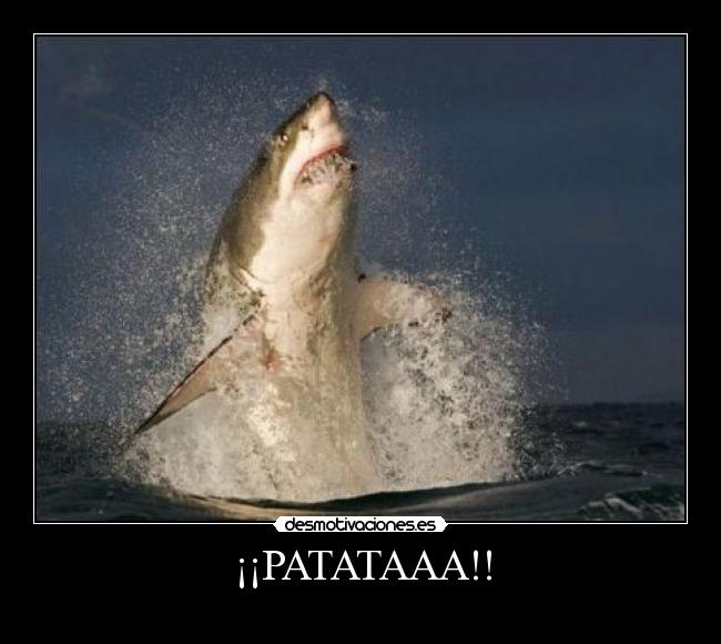 carteles tiburon desmotivaciones