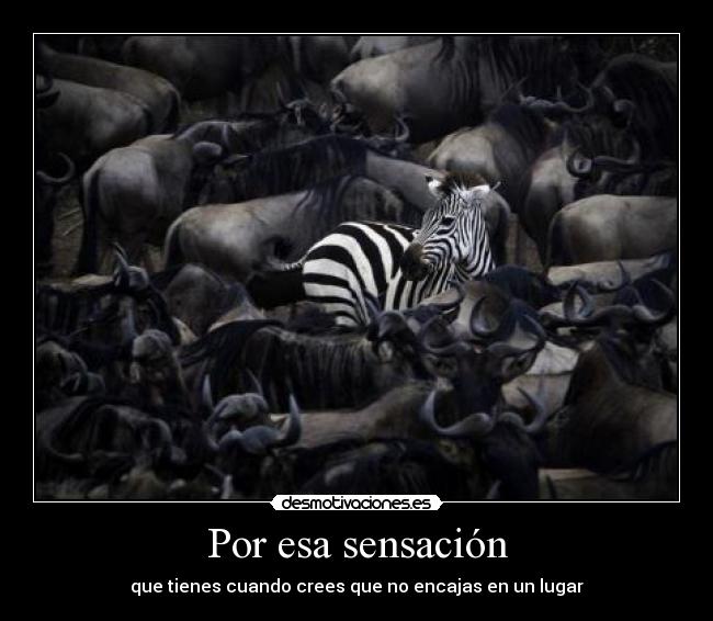 Por esa sensación - 