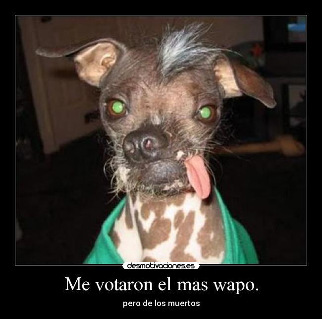 Me votaron el mas wapo. -