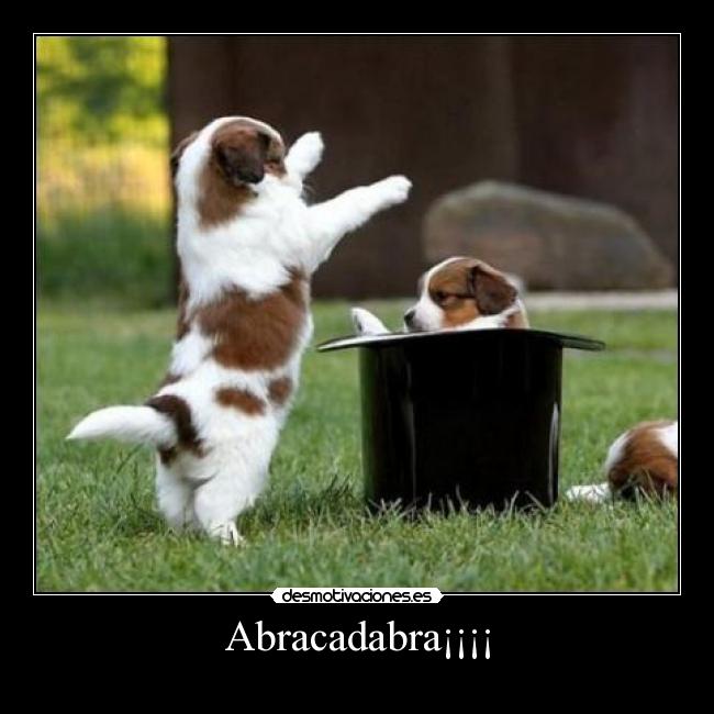 Abracadabra¡¡¡¡ -