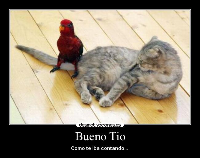 Bueno Tio - Como te iba contando...