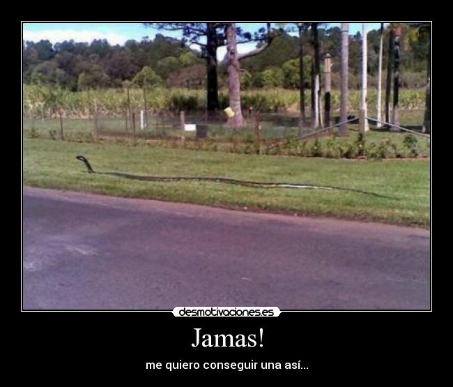 Jamas! - me quiero conseguir una así...