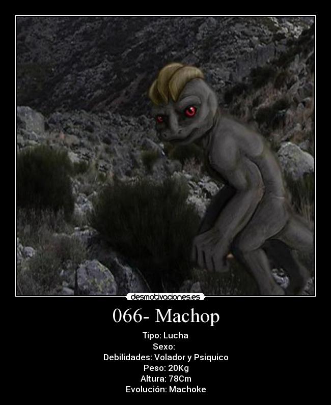 066- Machop - Tipo: Lucha
Sexo: ♂♀
Debilidades: Volador y Psiquico
Peso: 20Kg
Altura: 78Cm
Evolución: Machoke