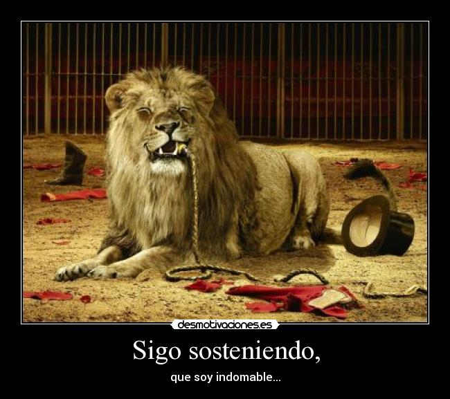 carteles leon desmotivaciones