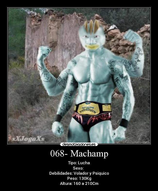 068- Machamp - Tipo: Lucha
Sexo: ♂♀
Debilidades: Volador y Psiquico
Peso: 130Kg
Altura: 160 a 210Cm