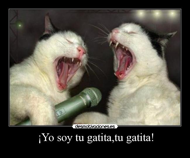 carteles desmotivaciones