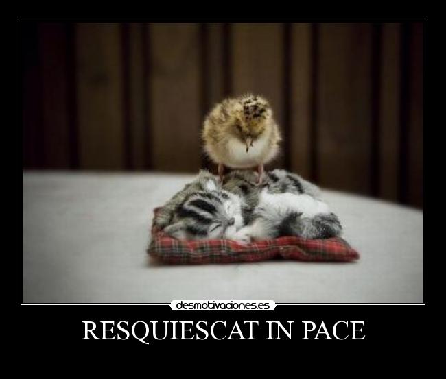 RESQUIESCAT IN PACE -