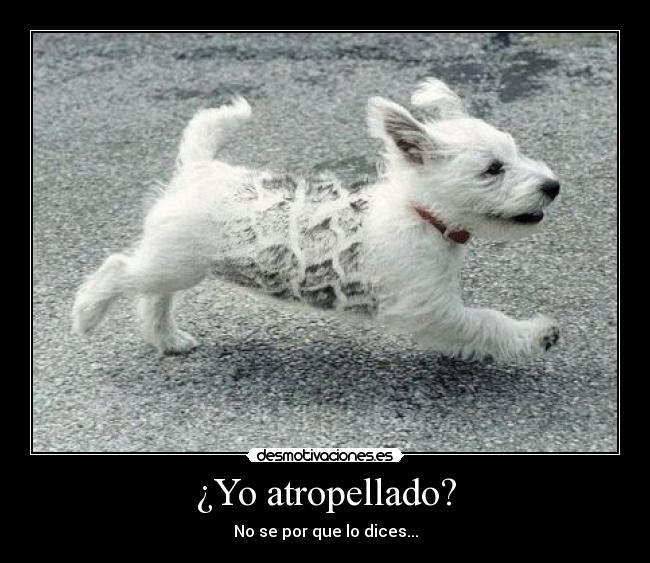 ¿Yo atropellado? - 
