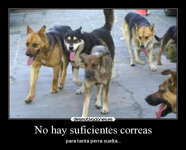 No hay suficientes correas - 