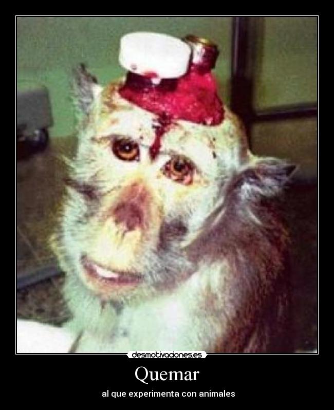  Quemar  - 