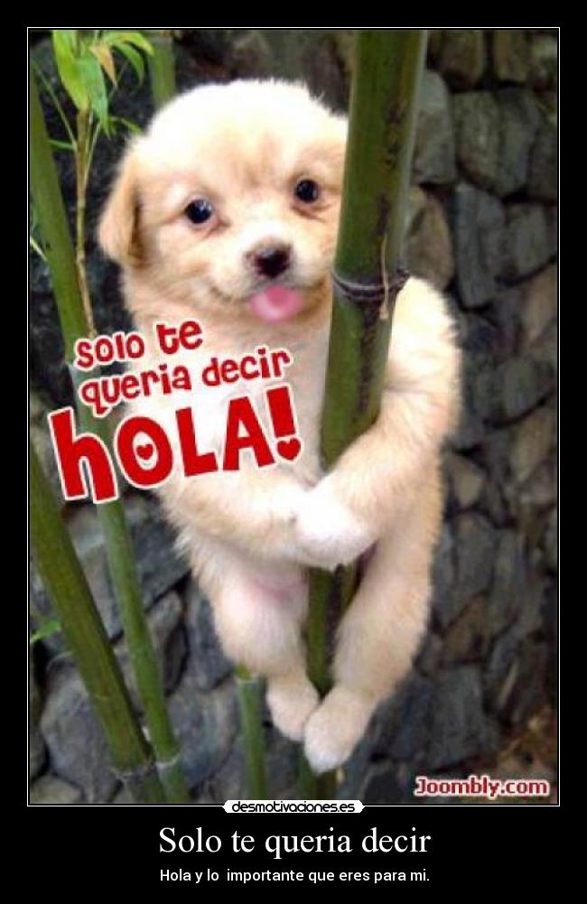 Solo te queria decir - Hola y lo importante que eres para mi.