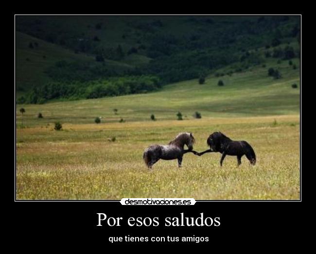 carteles por esos desmotivaciones