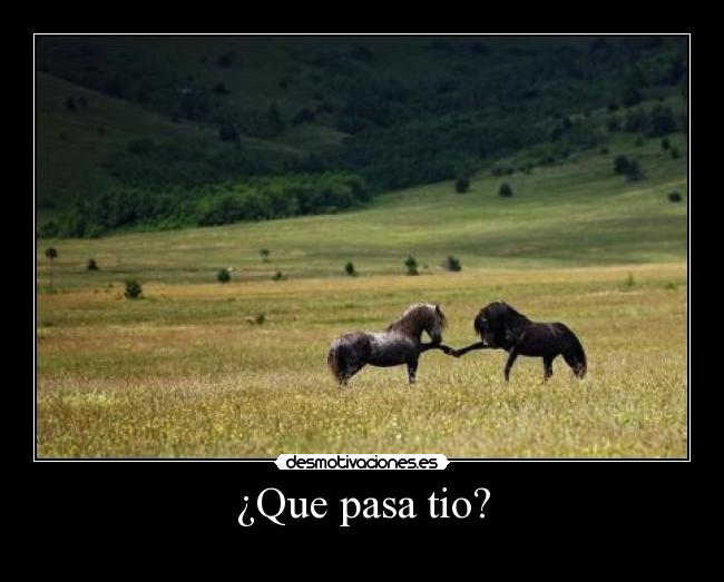 ¿Que pasa tio? -