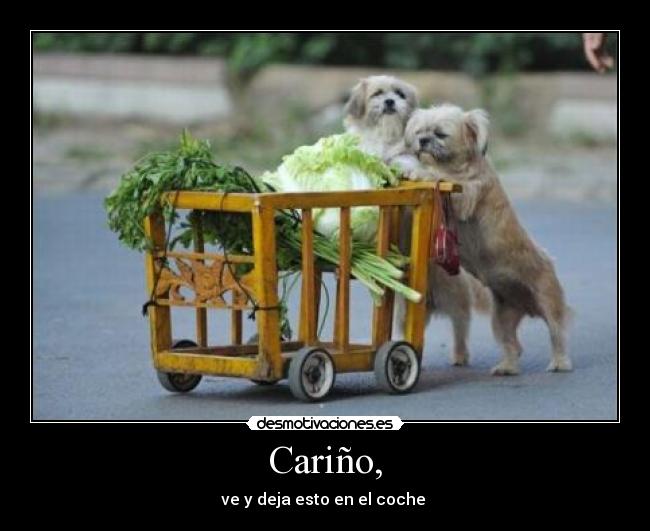 Cariño, -