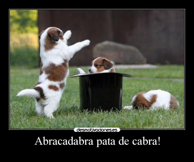Abracadabra pata de cabra! -
