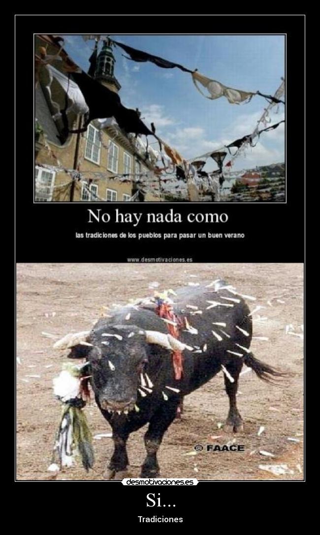 carteles toro coria tradiciones muerte desmotivaciones