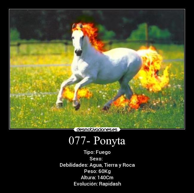 077- Ponyta - Tipo: Fuego
Sexo: ♂♀
Debilidades: Agua, Tierra y Roca
Peso: 60Kg
Altura: 140Cm
Evolución: Rapidash