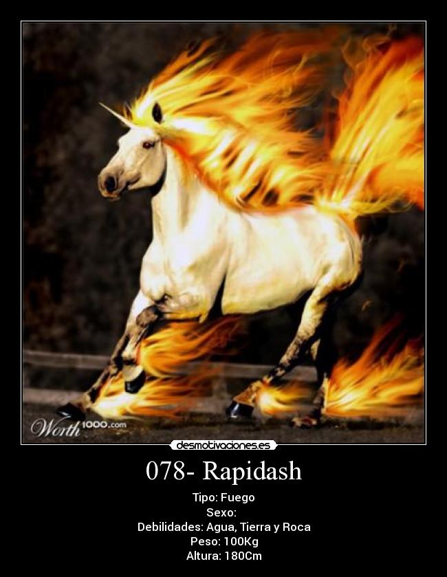 078- Rapidash - Tipo: Fuego
Sexo: ♂♀
Debilidades: Agua, Tierra y Roca
Peso: 100Kg
Altura: 180Cm