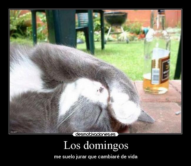 Los domingos - 