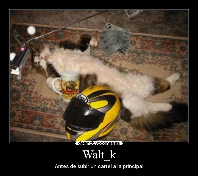 carteles walt_k principal desmotivaciones