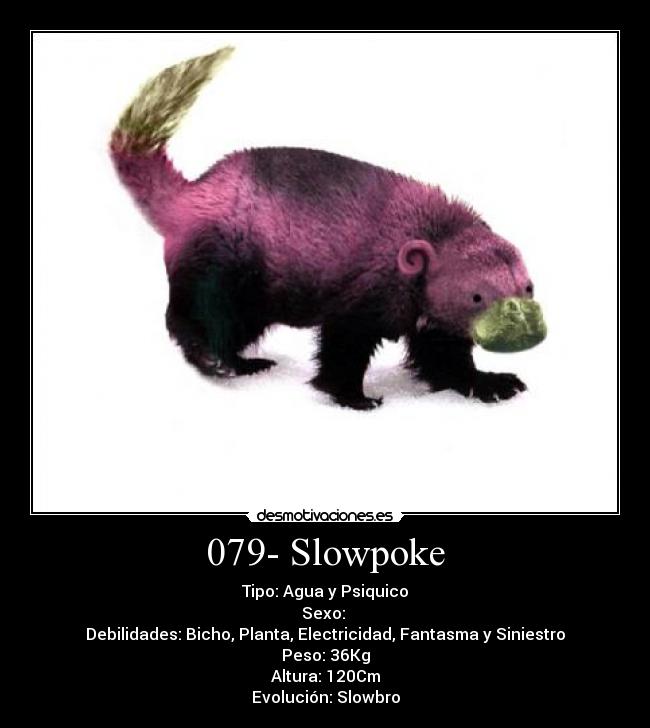 079- Slowpoke - Tipo: Agua y Psiquico
Sexo:♂♀
Debilidades: Bicho, Planta, Electricidad, Fantasma y Siniestro
Peso: 36Kg
Altura: 120Cm
Evolución: Slowbro