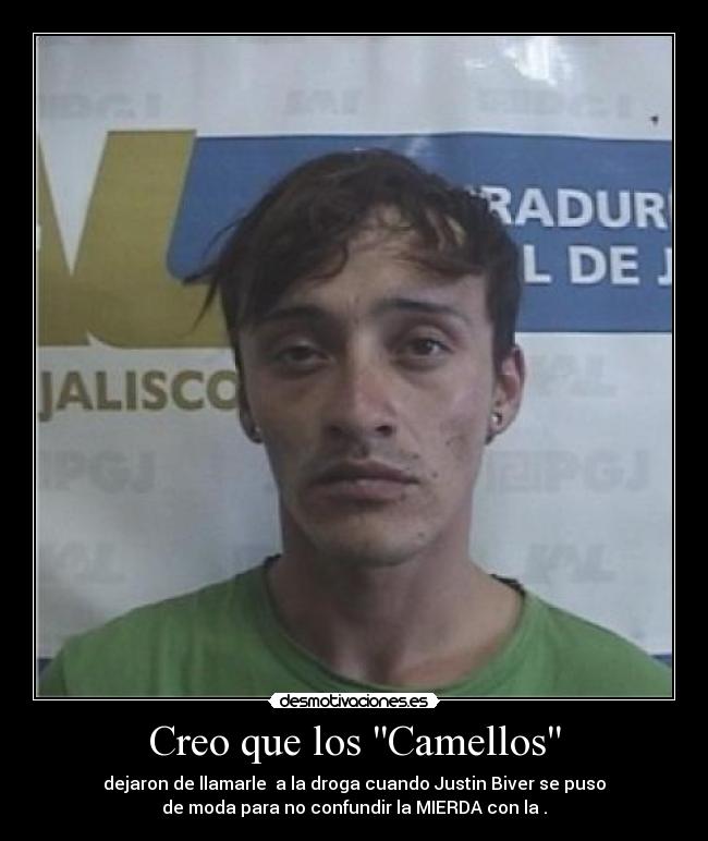 Creo que los Camellos -