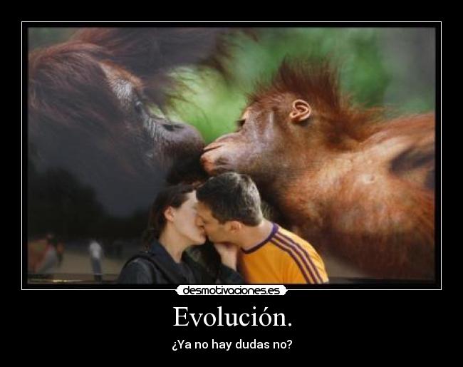 Evolución. - ¿Ya no hay dudas no?