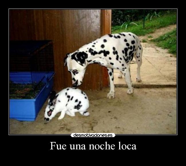 carteles hijo adoptado desmotivaciones