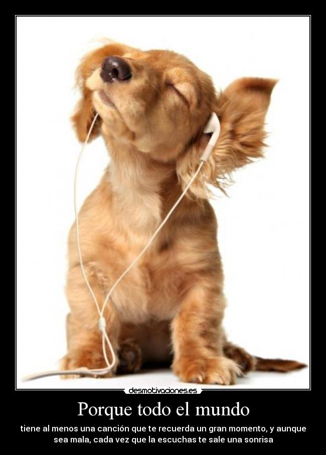 Porque todo el mundo -