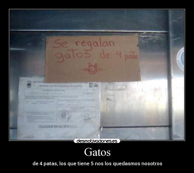 carteles gatos gatos patas cuatro mas patas cinco patas desmotivaciones