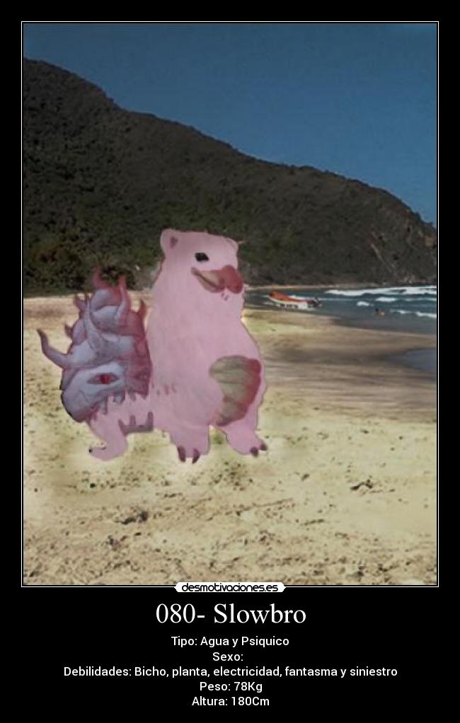 carteles slowbro desmotivaciones