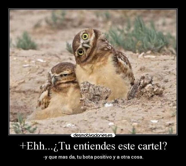 +Ehh...¿Tu entiendes este cartel? - -y que mas da, tu bota positivo y a otra cosa.