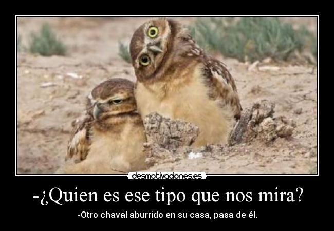 -¿Quien es ese tipo que nos mira? - -Otro chaval aburrido en su casa, pasa de él.
