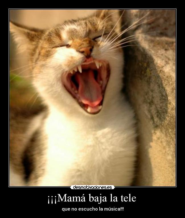 ¡¡¡Mamá baja la tele -