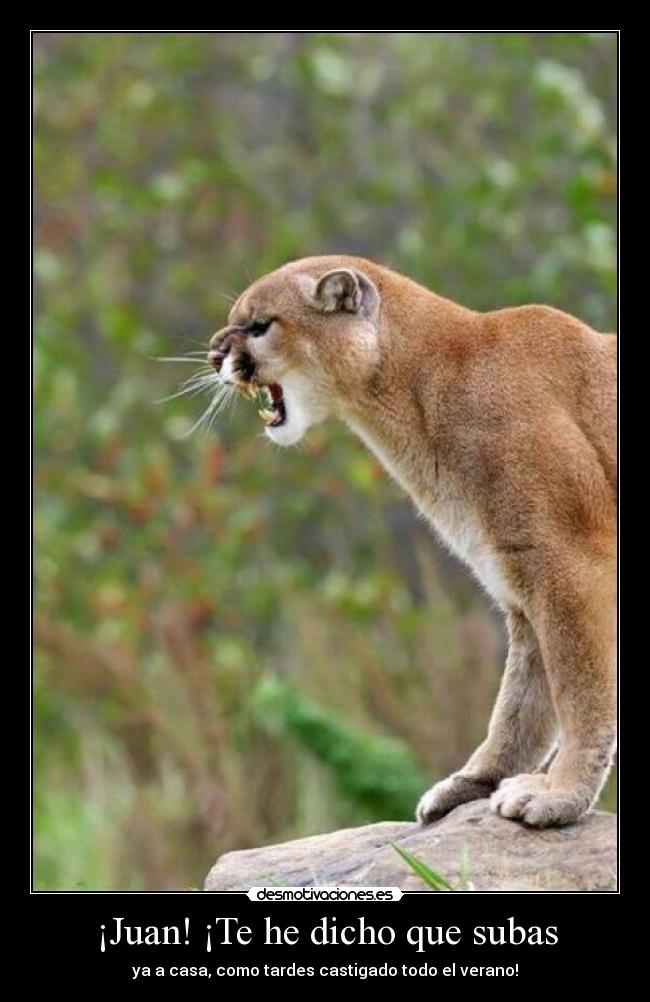 ¡Juan! ¡Te he dicho que subas -