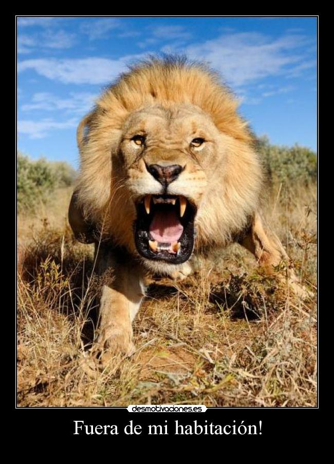 Fuera de mi habitación! -