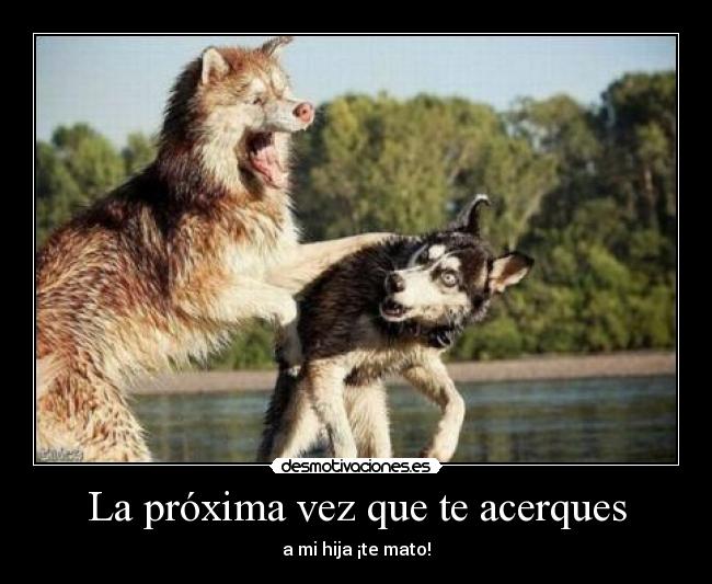 La próxima vez que te acerques - 