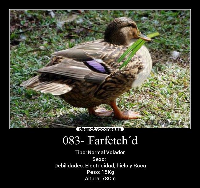 083- Farfetch´d - Tipo: Normal Volador
Sexo: ♂♀
Debilidades: Electricidad, hielo y Roca
Peso: 15Kg
Altura: 78Cm
