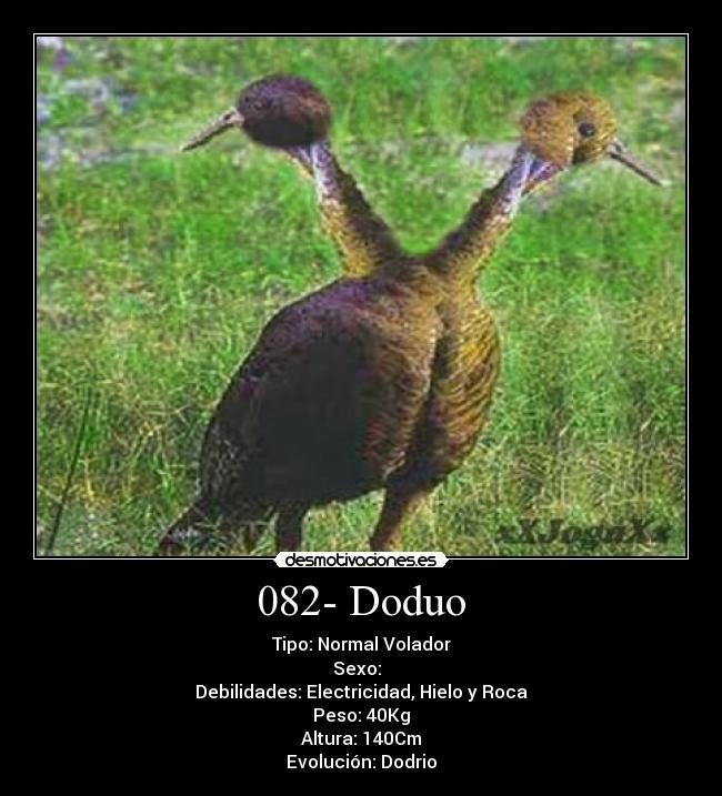 082- Doduo - Tipo: Normal Volador
Sexo: ♂♀
Debilidades: Electricidad, Hielo y Roca
Peso: 40Kg
Altura: 140Cm
Evolución: Dodrio