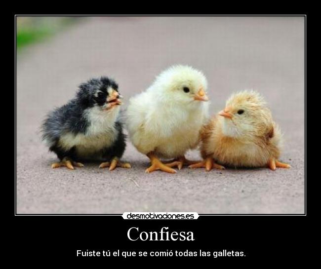 Confiesa -