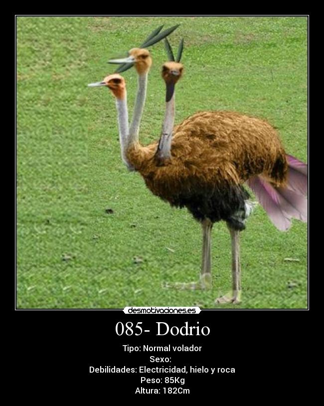 carteles dodrio desmotivaciones