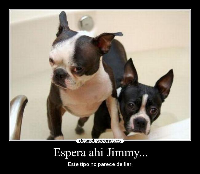 Espera ahi Jimmy... - Este tipo no parece de fiar.